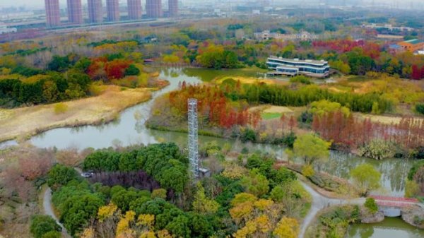 最正规的配资公司 桂香迟来，“失序”的植物正拉响警钟｜新民·科技前沿